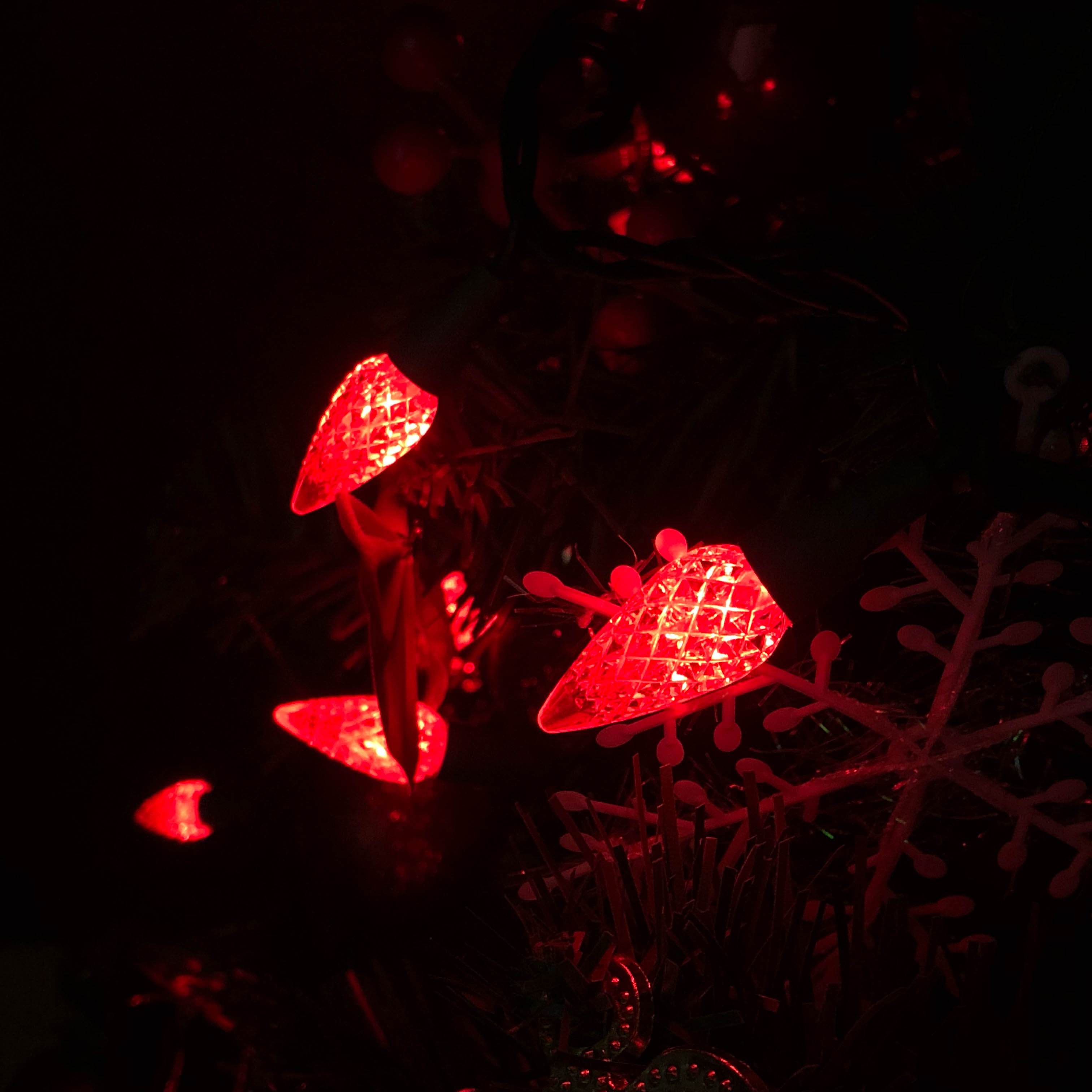 Outdoor & Indoor Use Waterproof Strawberry LED String Lights